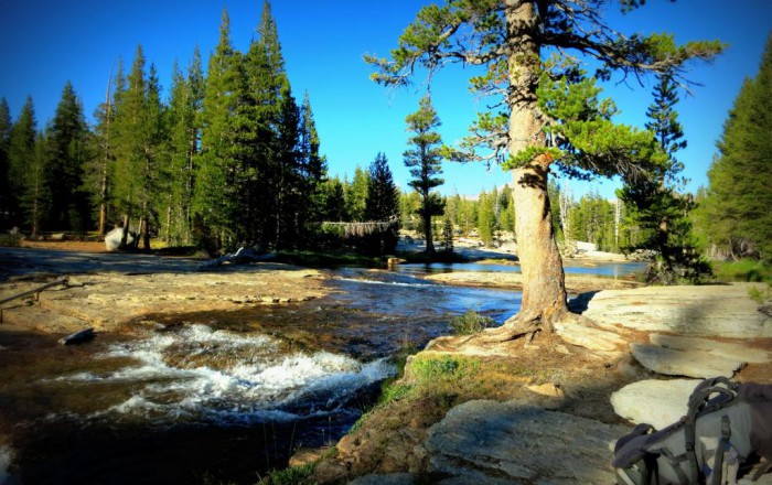  Lyell River Tuolumne Yosemite