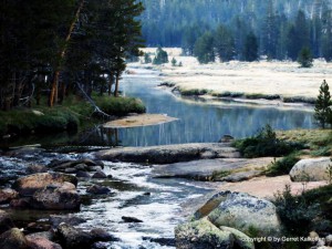 Lyell River Tuolumne Yosemite