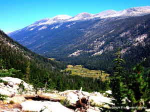 Lyell River Tuolumne Yosemite