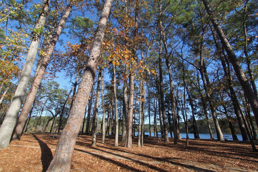 LSHT 02 Piney Woods, Huntsville State Park Plan & Go Hiking